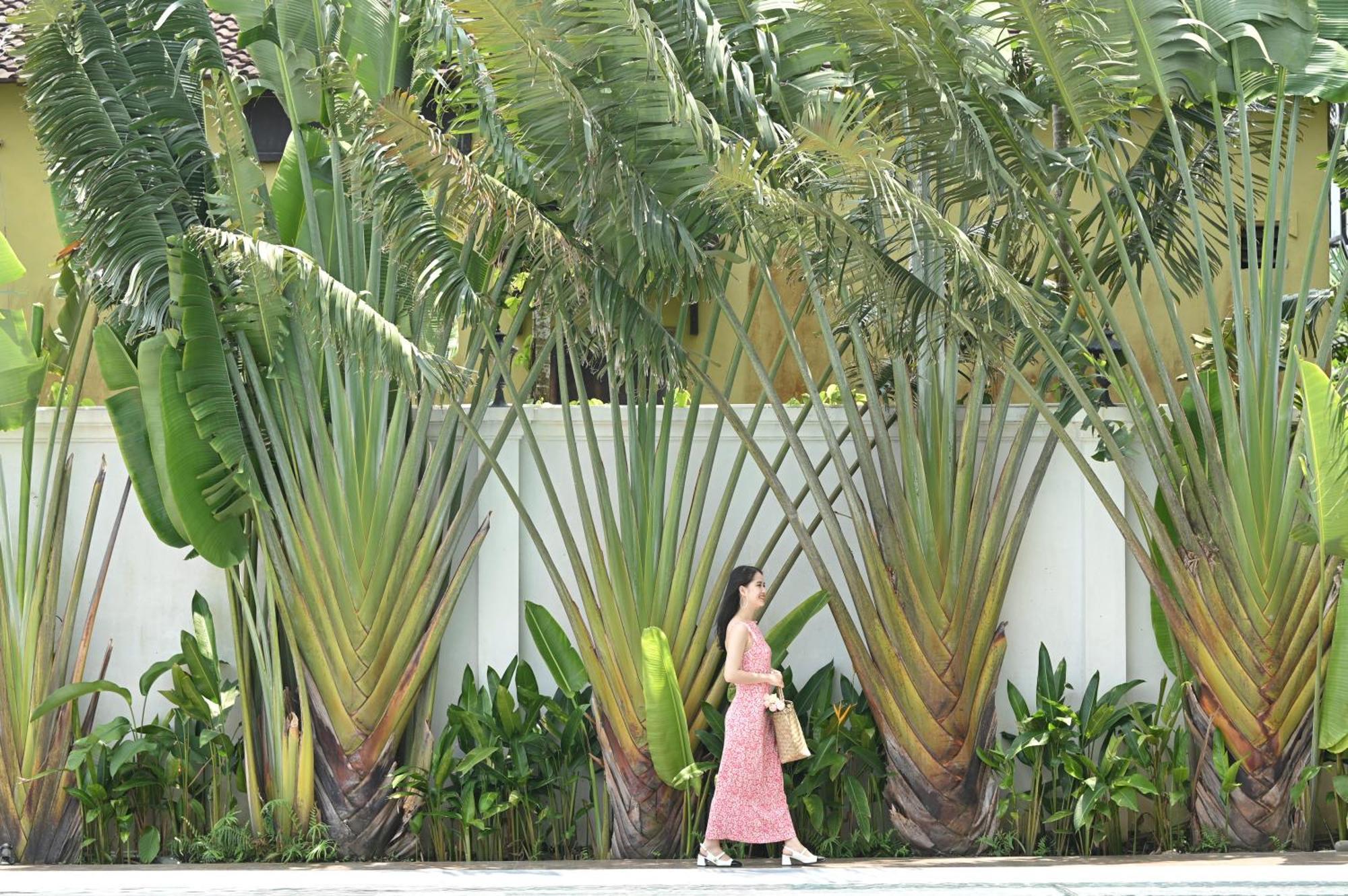 Shining Riverside Hoi An Boutique & Spa Dış mekan fotoğraf
